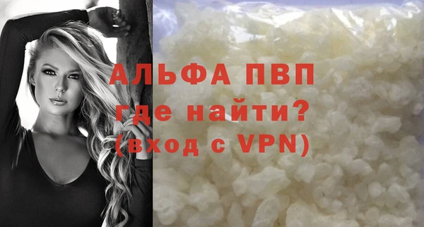 прущие грибы Бронницы