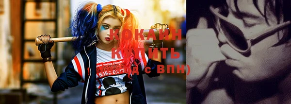 прущие грибы Бронницы