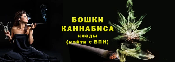 прущие грибы Бронницы
