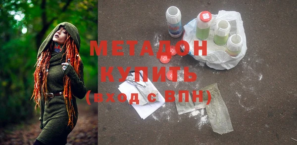 прущие грибы Бронницы