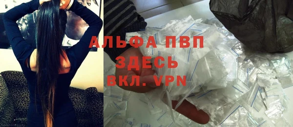 прущие грибы Бронницы