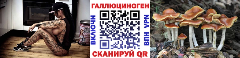 Галлюциногенные грибы GOLDEN TEACHER  Купить где  Лихославль 